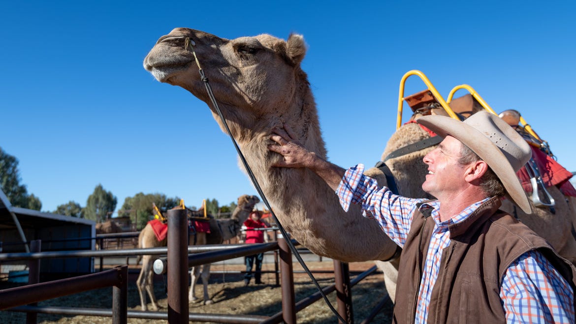 Man with a camel at the Uluru Camel Cup