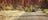 car-driving-through-the-west-macs-near-alice-springs-1jpg