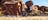 Couple_camping_at_Devils_Marbles.jpg