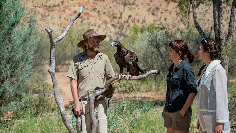 desertparkeagleencounter