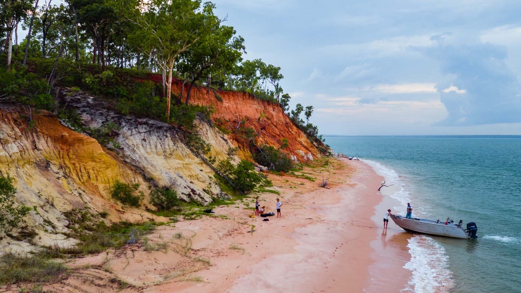 A group of people looking for turtle eggs