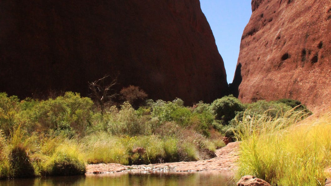 Kata Tjuta towers around the Walpa Gorge walk