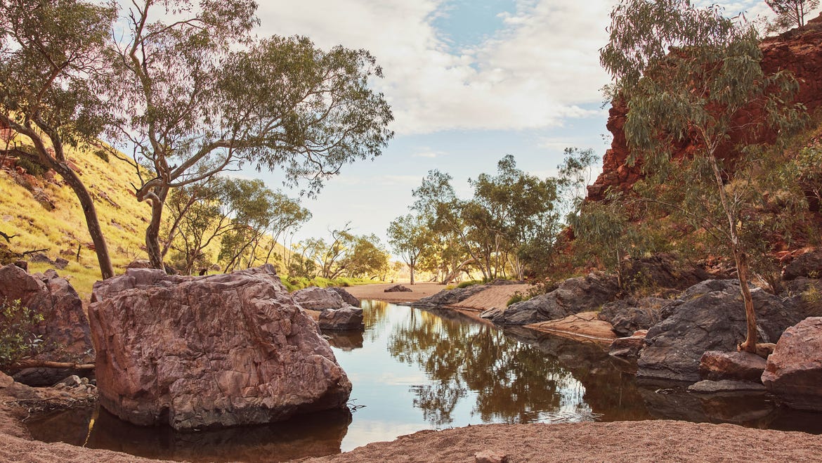 waterhole at simpsons gap with native flora