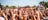youth_concert_hands_raised_bassinthegrass.jpg
