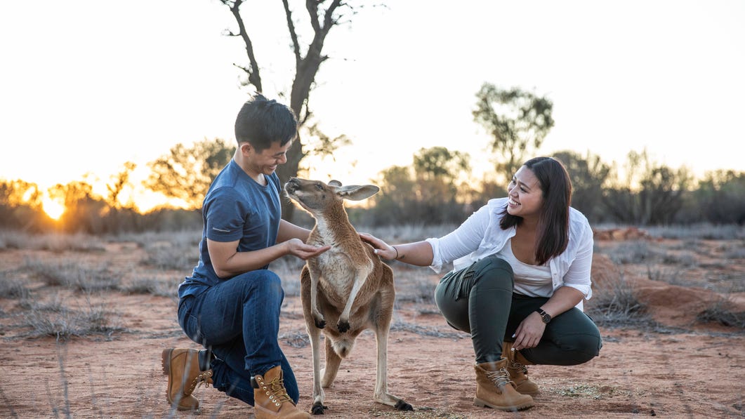 Couple-cuddling-Kangaroo