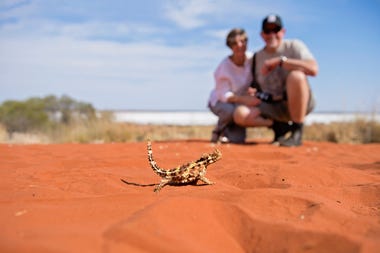 Red Centre Local’s Tips: The Alice Springs Desert Park