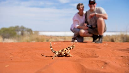 Red Centre Local’s Tips: The Alice Springs Desert Park