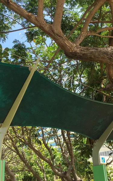 Darwin and surrounds taxi service sign