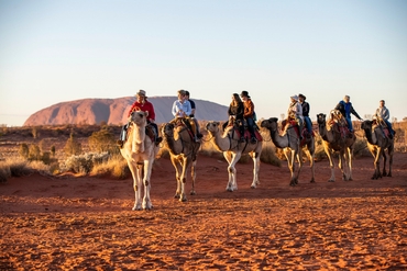 Group of visitors touring on camels with Uluru in the background