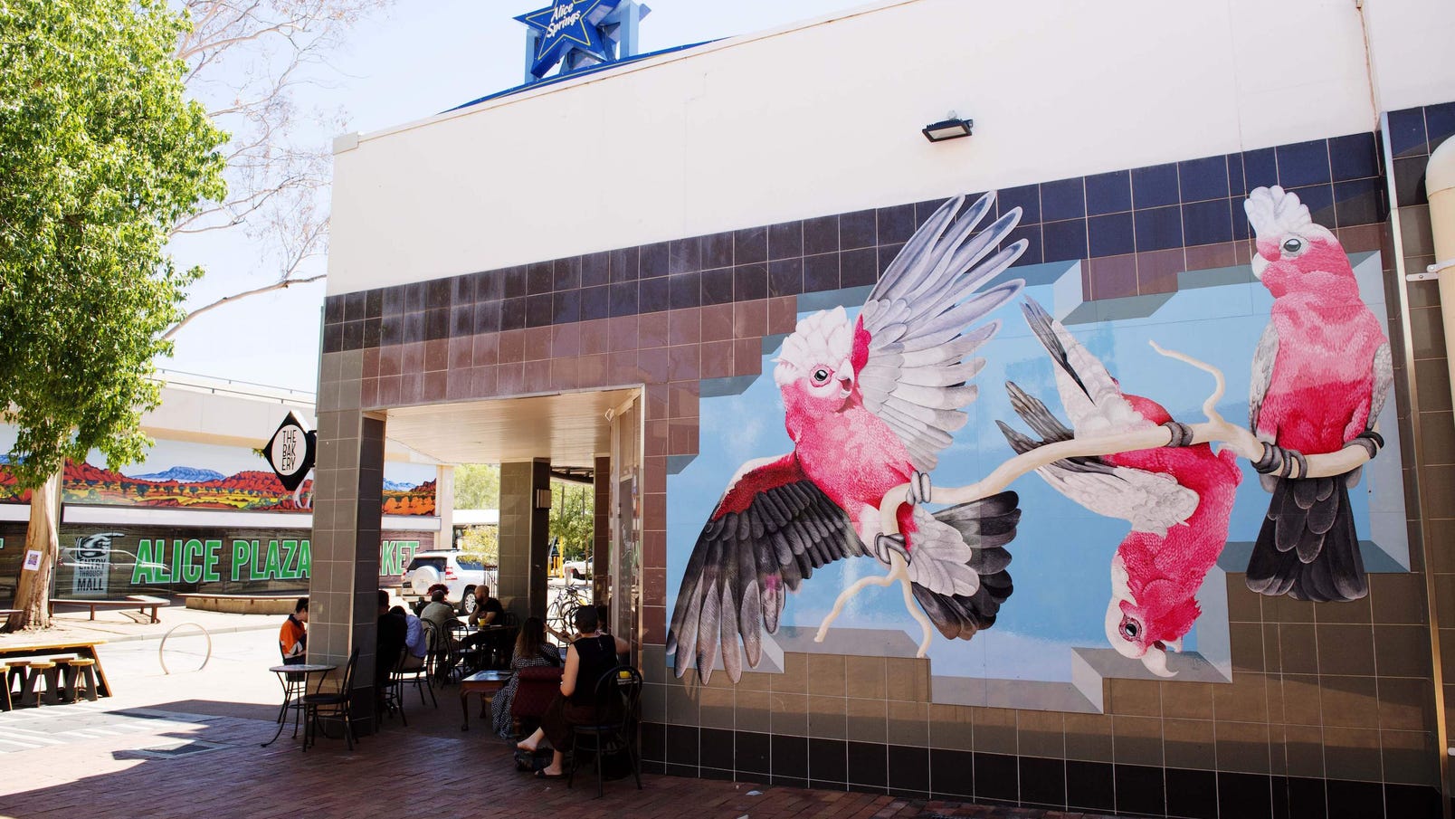 Alice springs street art at Todd Mall