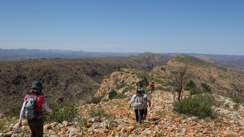 Group hiking on a ridge on the Larapinta Trail