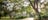 beautiful-trees-overhanging-the-walking-path-through-george-brown-darwin-botanic-gardens,-d-,jpg