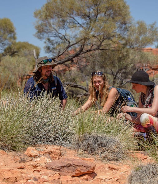 A group of people on the Kings Creek walk learning about the native plants
