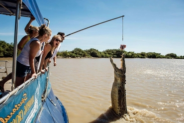 group cruise crocodile jumping