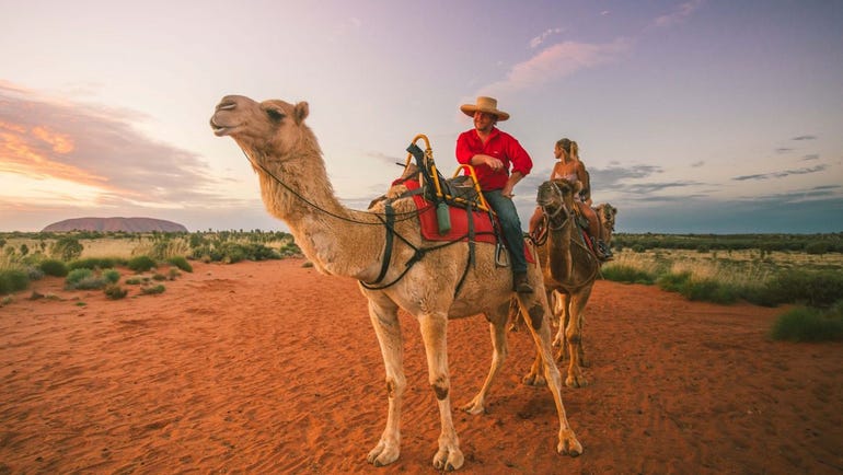 Man on a camel leading a tour around Uluru
