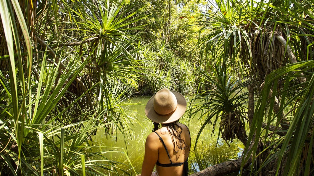 Idyllic Berry Springs