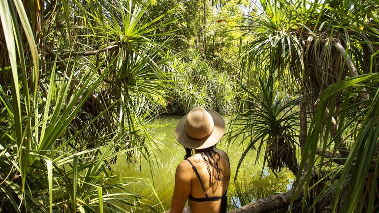Idyllic Berry Springs
