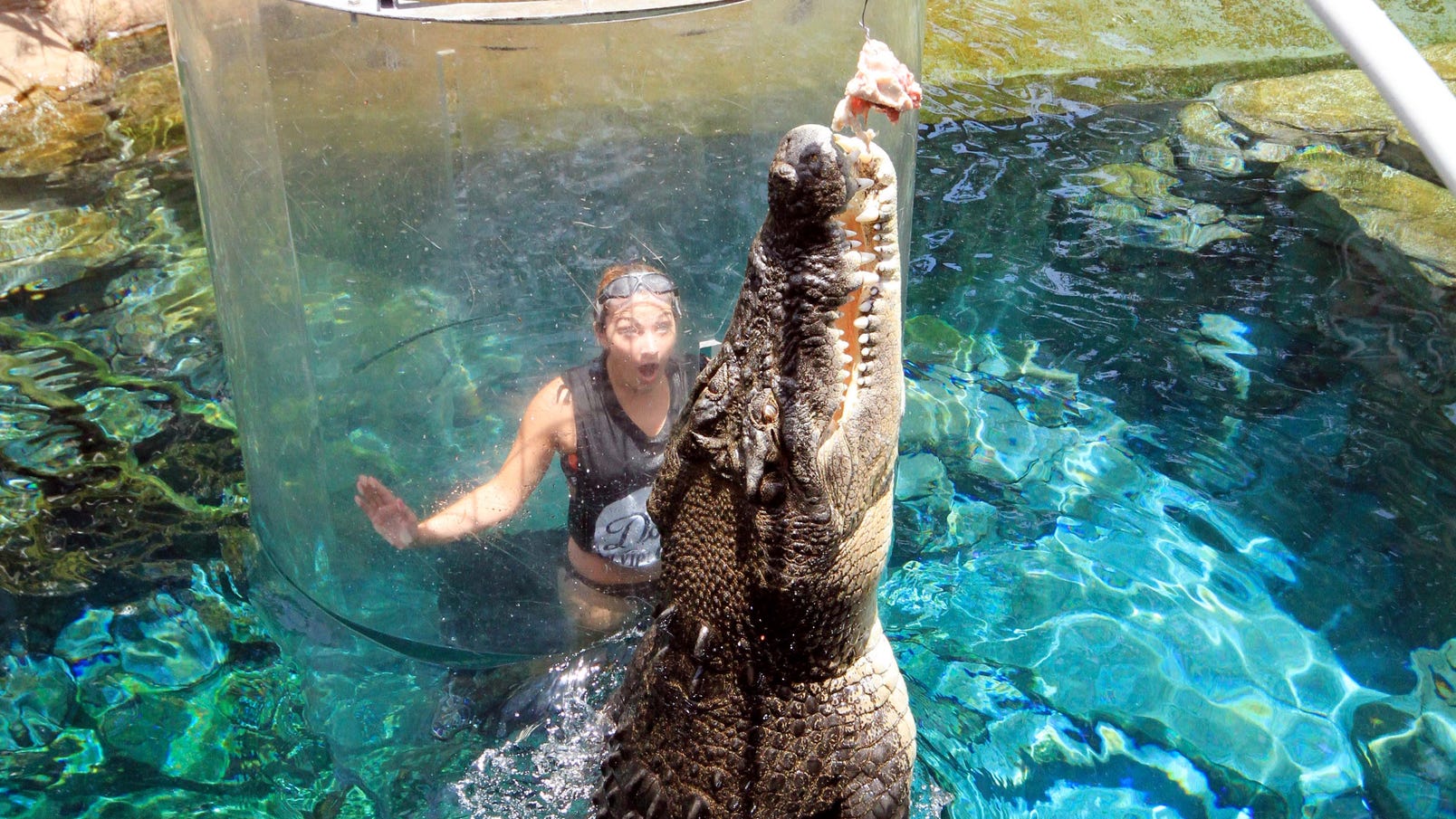 Girl in Cage of Death Crocosaurus Cove Darwin