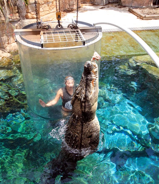 Girl in Cage of Death Crocosaurus Cove Darwin