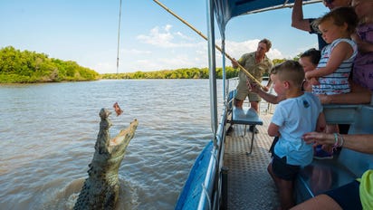 Crocs & other creatures of the NT