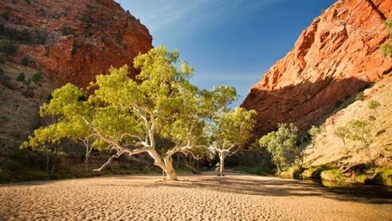 simpson gap near alice springs