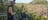 girl-at-lookout-at--florence-falls,-d-,jpg