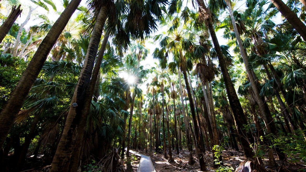 Elsey National Park