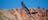 Whistling Kite flying off from branch at Alice Springs Desert Park