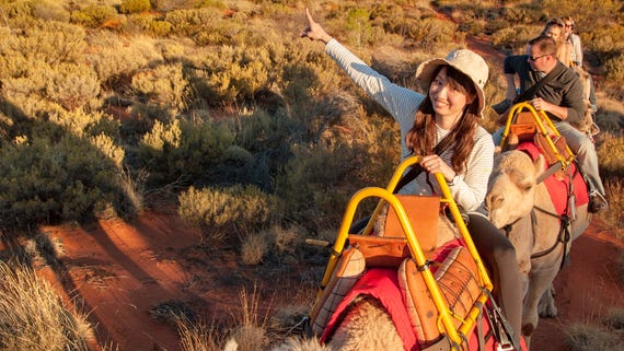 A girl pointing at Uluru whilst riding with Uluru Camel Tours
