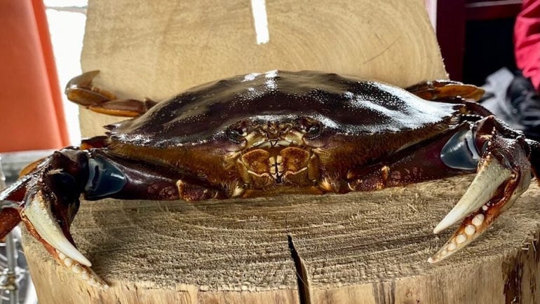 Mud crab statue