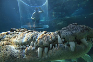 A day of adventure in Darwin City 24-hour itinerary