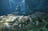 Darwin adventure in 1 day <span>Must-do activities for adrenaline junkies</span>