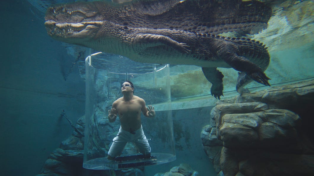 A man in the Cage of Death at Crocosaurus Cove in Darwin