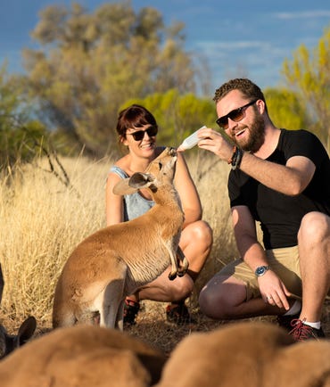 couple feeding kangaroos at the kangaroo sancturary for the bachelor