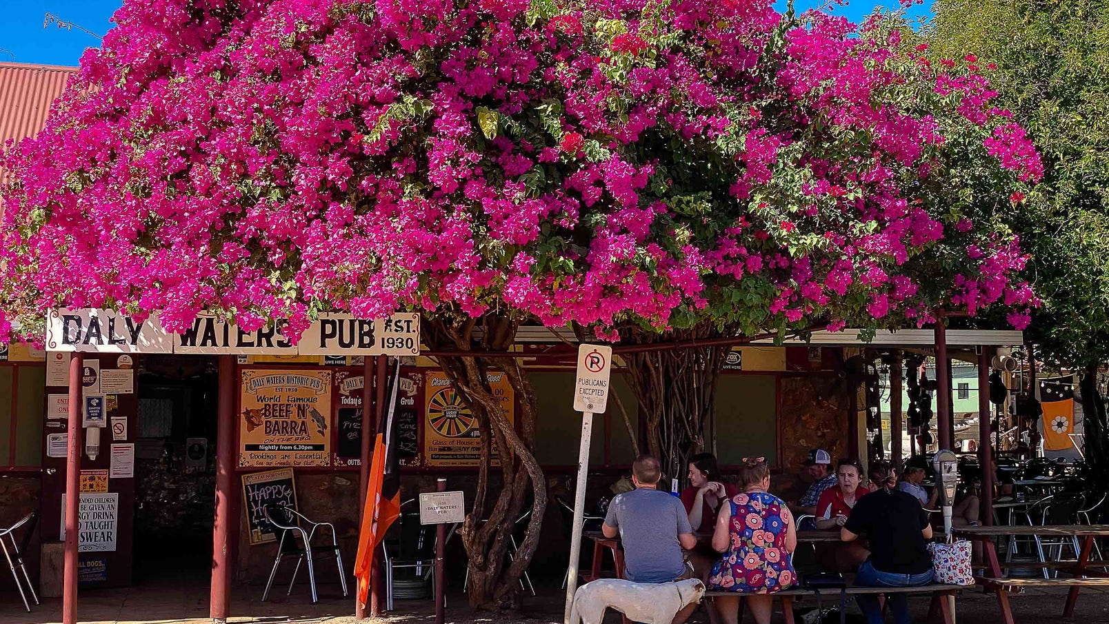 daly waters pub store front