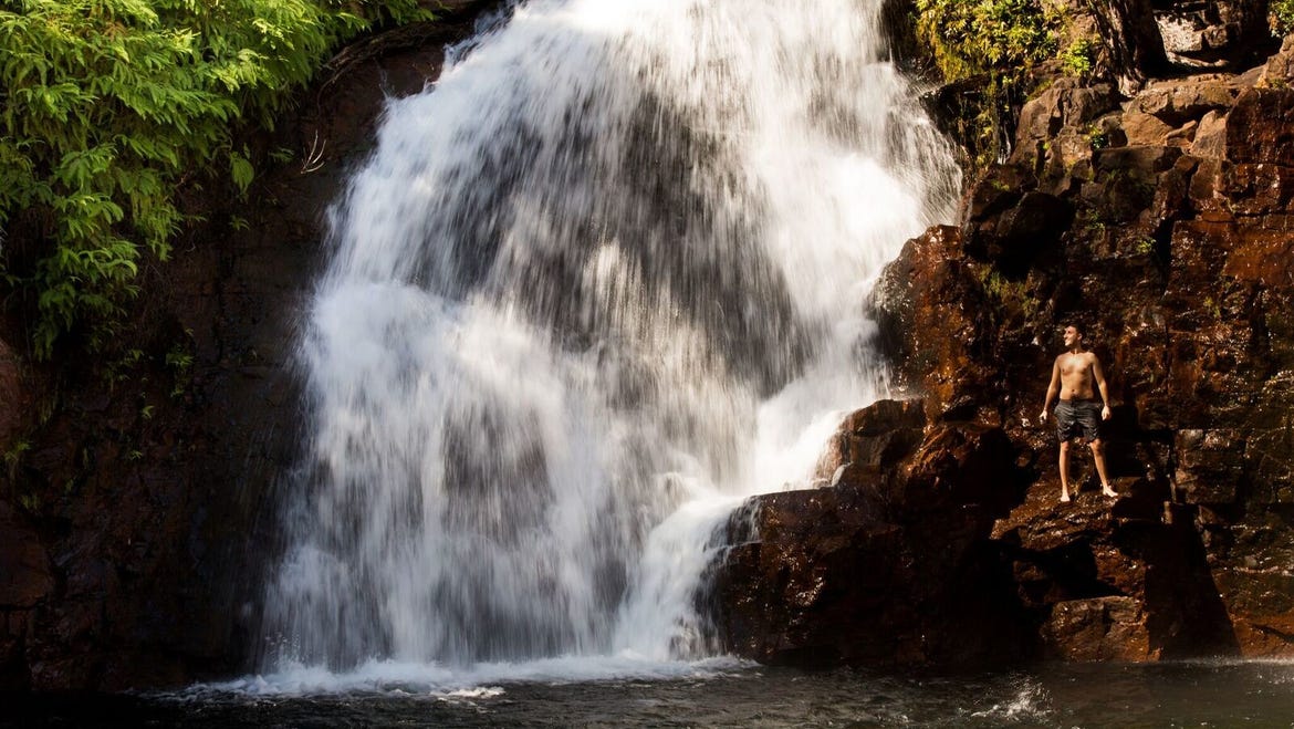 Man at Florence Falls