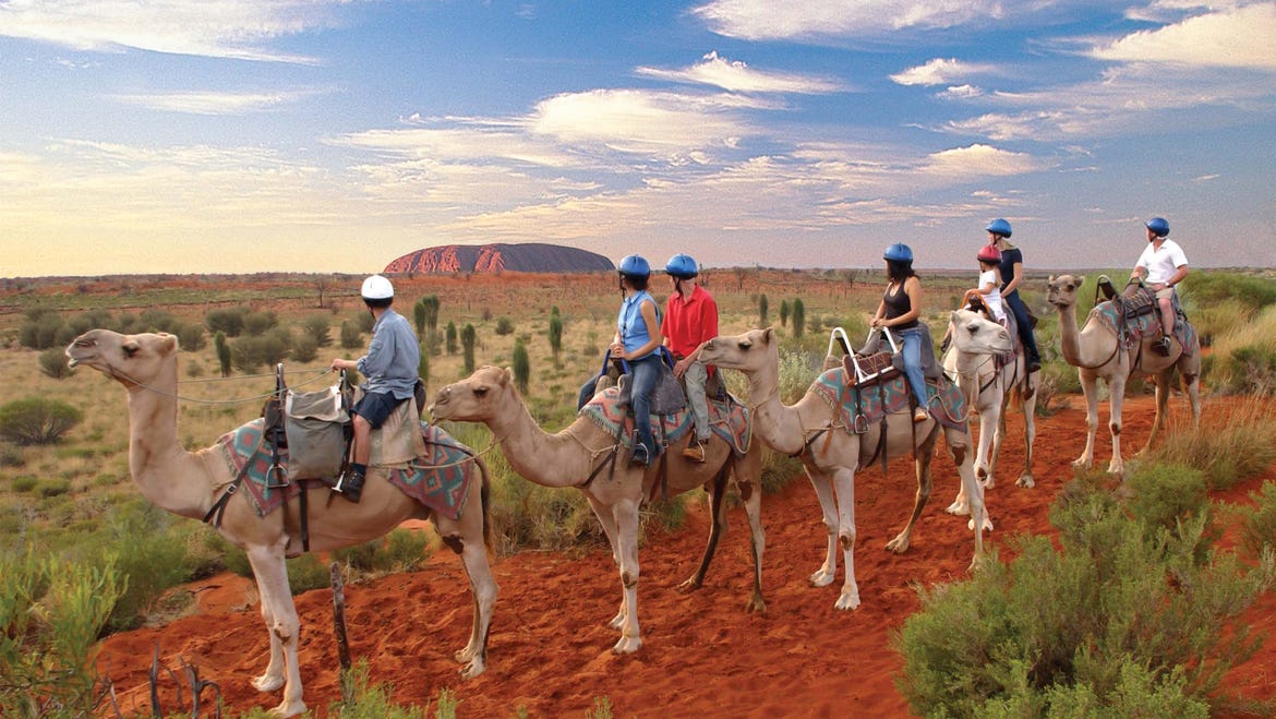 Camel ride at uluru