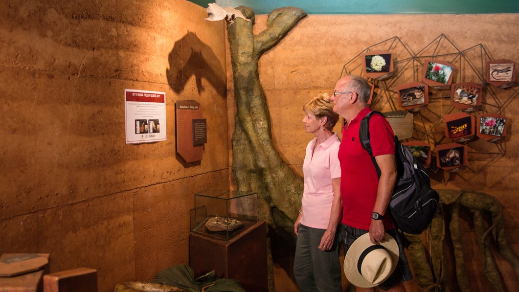 Couple looking at animal display at the Bowali Visitor Centre