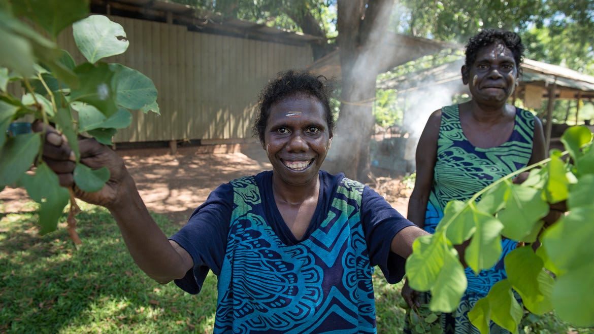 Day tour to the Tiwi Islands