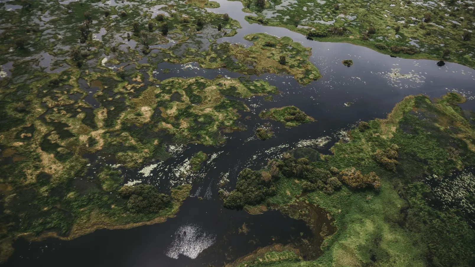 estuary-northern-territory