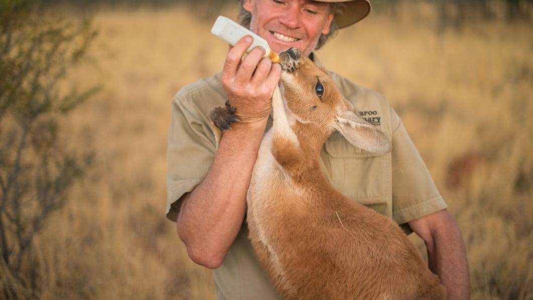 Man feeding a joey at The Kangaroo Sanctuary