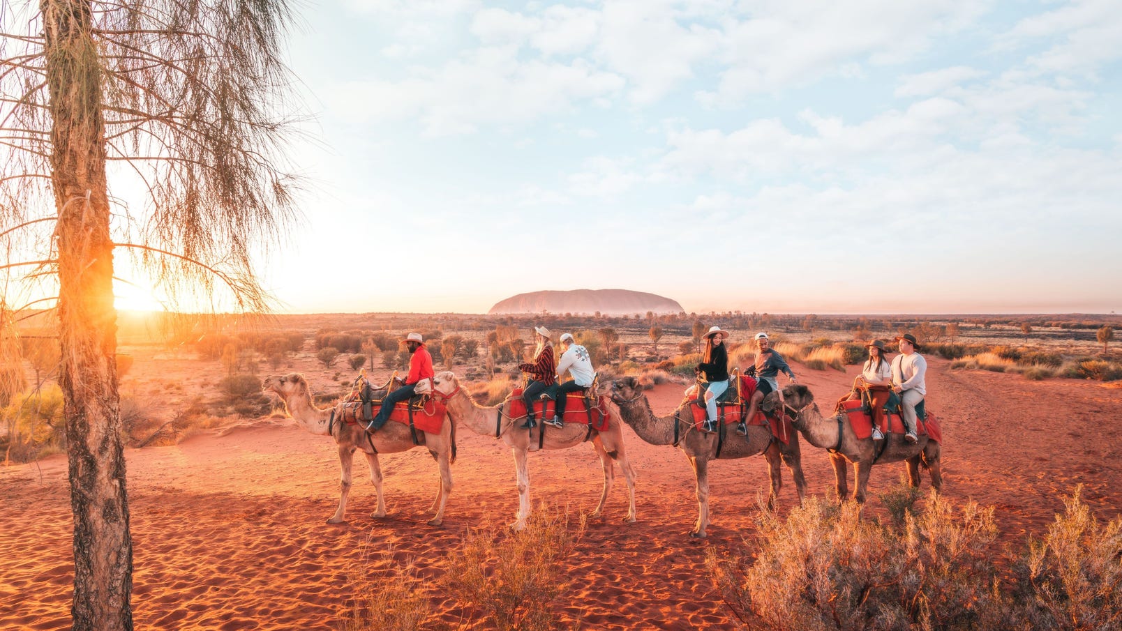 Camel ride uluru