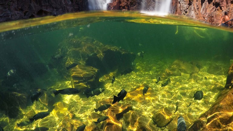 View from underwater at Florence Falls Litchfield National Park