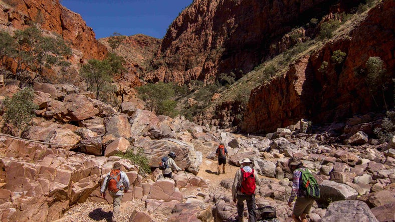 Group hiking on the Larapinta Trail