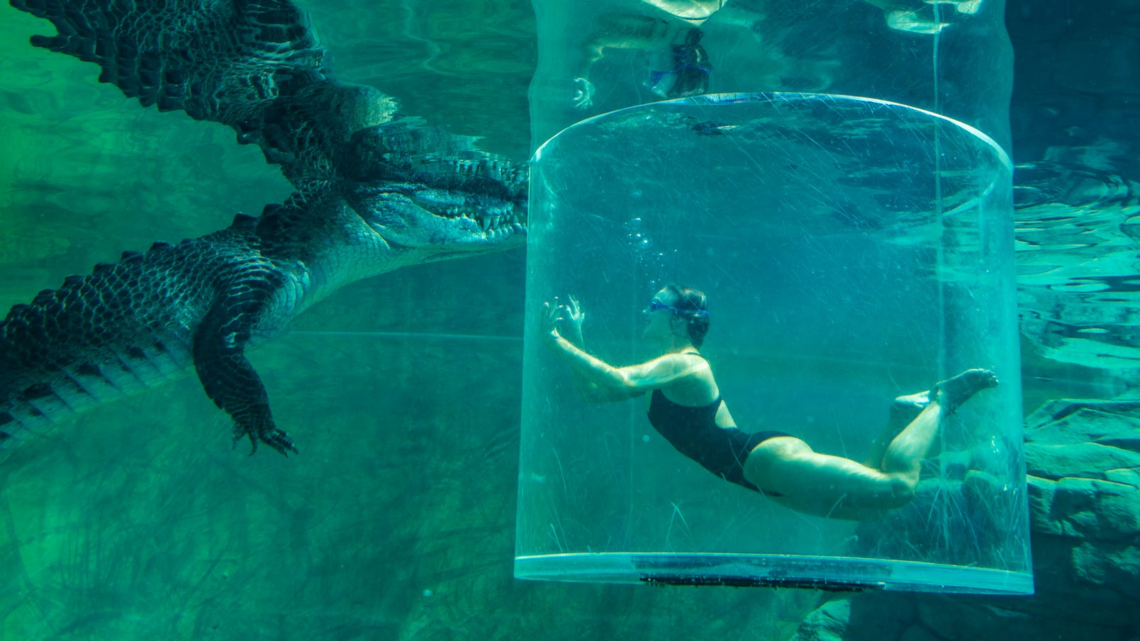 Woman-in-Cage-of-death-Croc-Cove