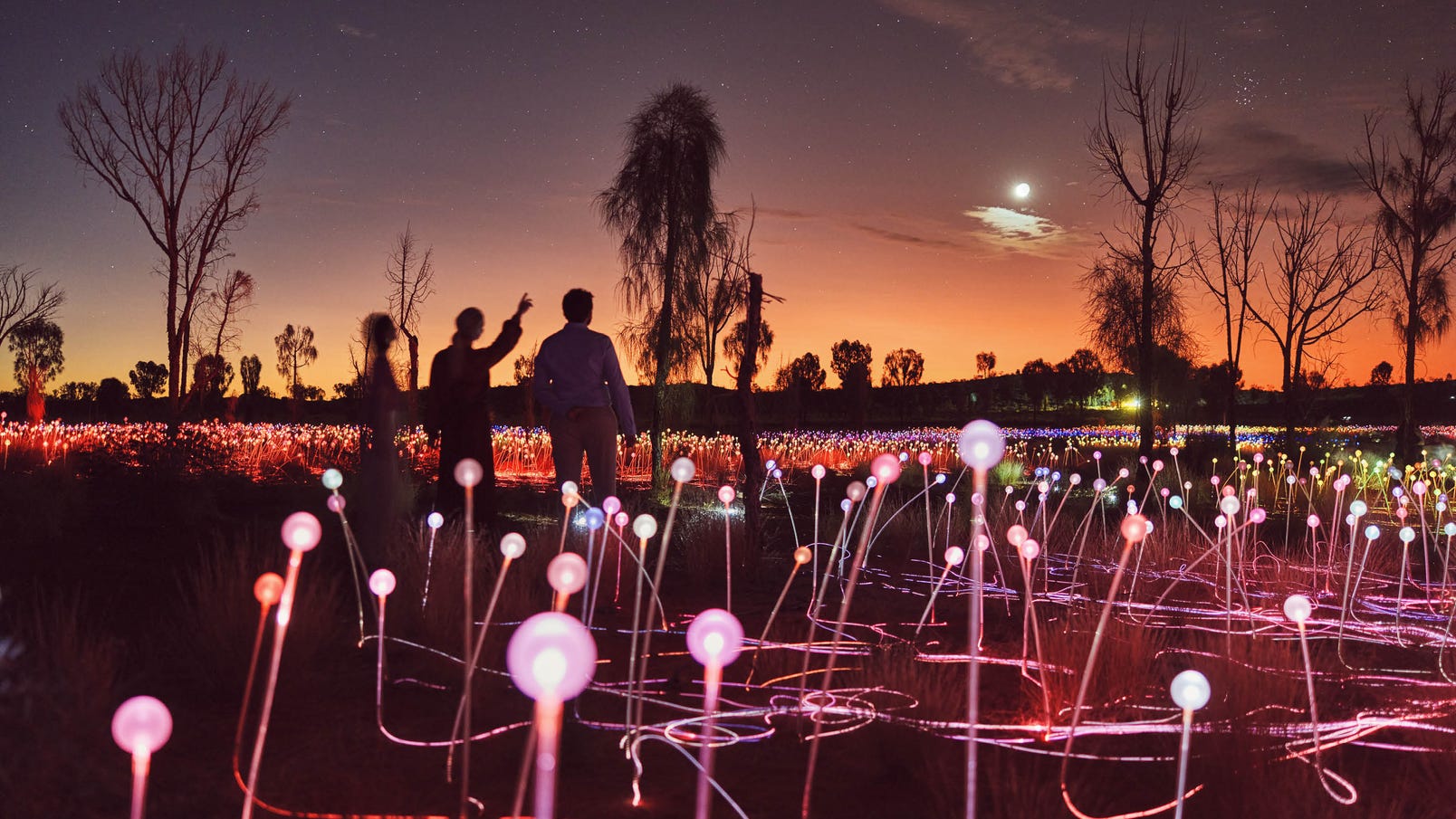 three people standing in the field of light at uluru in central australia