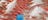 NT Caught - Seafood Council - NTSFC217