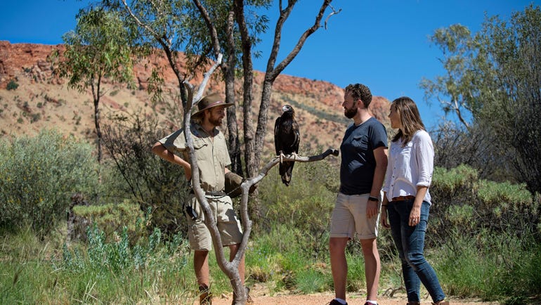Eagle encounter at Alice Springs Desert Park