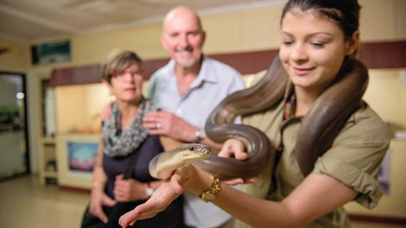 Guide holding a snake Alice Springs Reptile Park