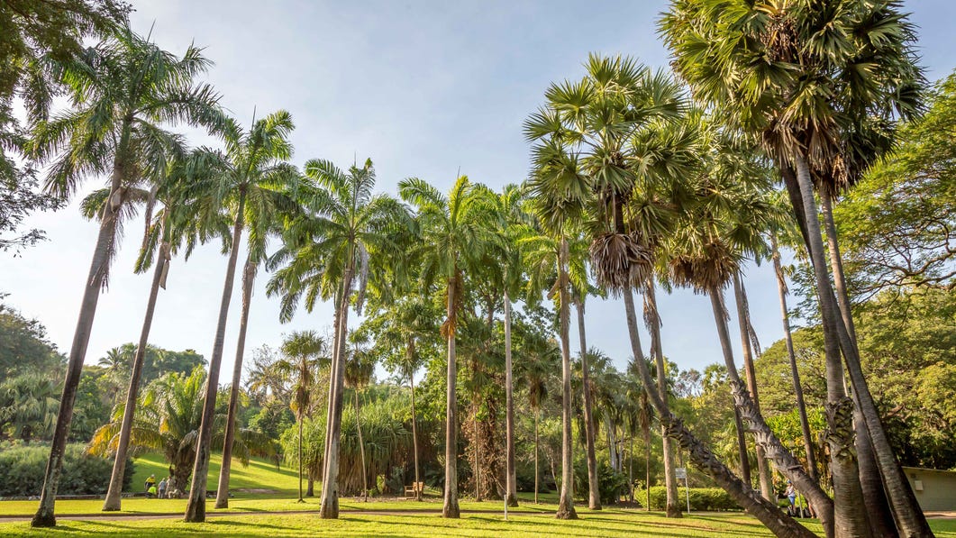 George Brown Botanic Gardens in Darwin